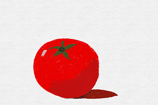 Tomato